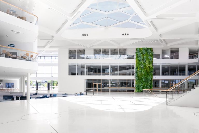 aldi-greenwall-lighting-kober-lichtplaner