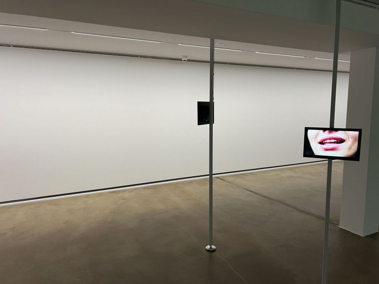 12_a_img_4266-1408x-q80