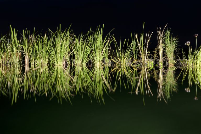 tma_120818_01_0117_web_image_web