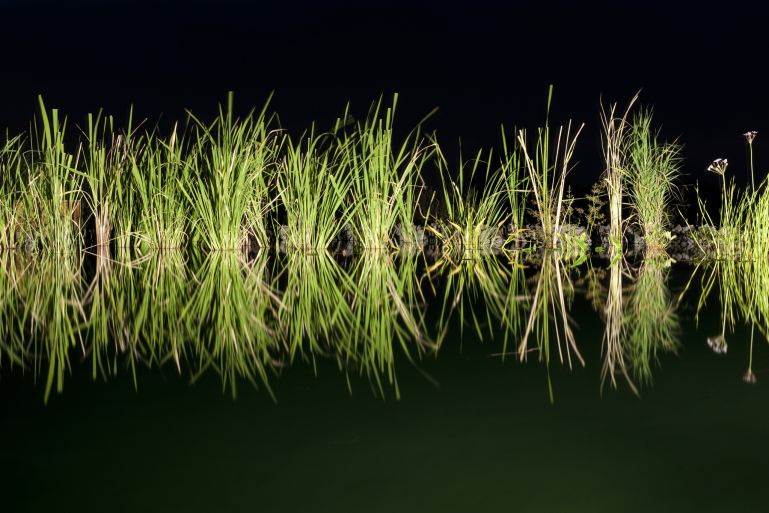 tma_120818_01_0117_web_image_web